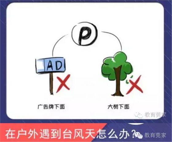 防御臺(tái)風(fēng)10招6
