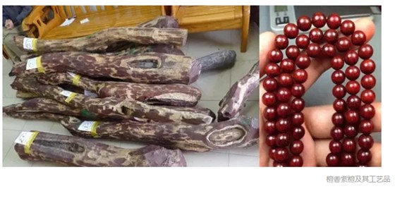 檀香紫檀及其工藝品