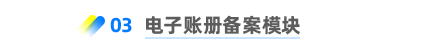 電子賬冊備案模塊 