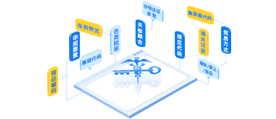 海關(guān)基礎(chǔ)資料