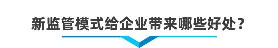 以企業(yè)為單元新監(jiān)管電子賬冊(cè)系統(tǒng)