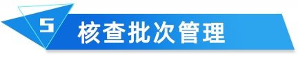 云關(guān)通海關(guān)核查分析核查批次管理