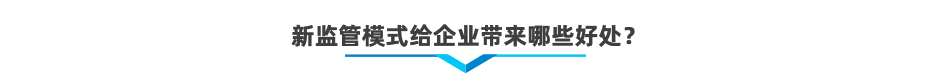 以企業(yè)為單元新監(jiān)管電子賬冊(cè)軟件系統(tǒng)