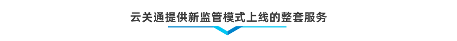 以企業(yè)為單元新監(jiān)管電子賬冊(cè)軟件系統(tǒng)