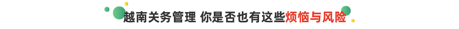 云關(guān)通云安越南關(guān)務(wù)管理信息化系統(tǒng)