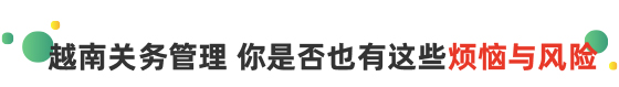  云關(guān)通云安越南關(guān)務(wù) 管理信息化系統(tǒng)