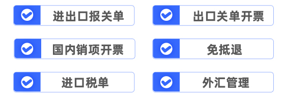  進出口報關(guān)單、出口關(guān)單開票、國內(nèi)銷項開票、免抵退、進口稅單、外匯管理